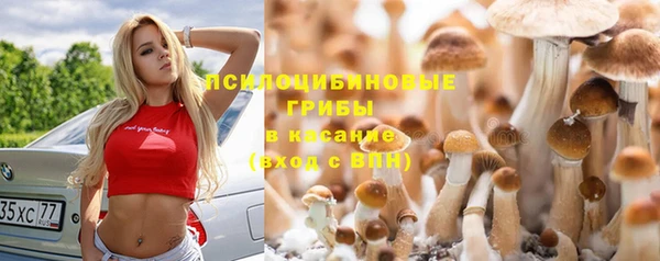 герыч Арсеньев